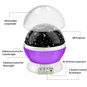 High Intensity Discharge Starlight Plant - M A Enterprises